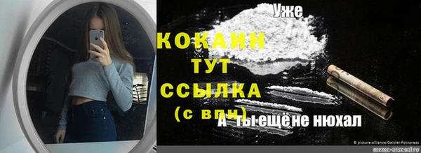 a pvp Алзамай