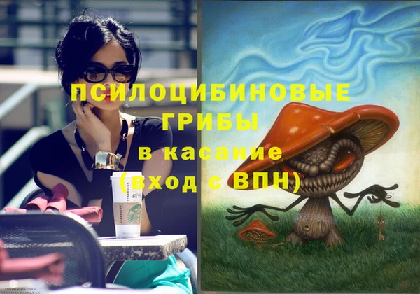 a pvp Алзамай