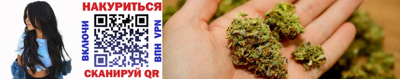 Шишки марихуана White Widow  где найти наркотики  Чаплыгин 